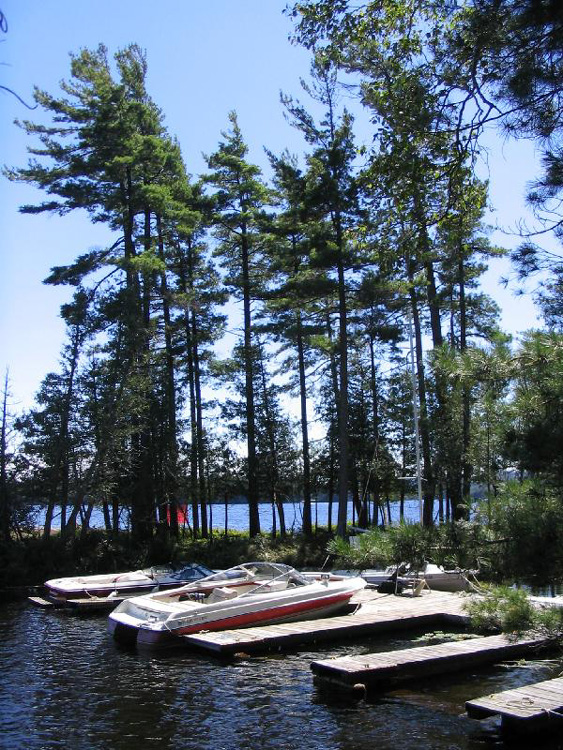 Our Dock