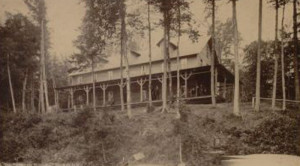 1900s-Under-the-Hemlocks-L