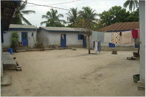 2006-Our-compound-L